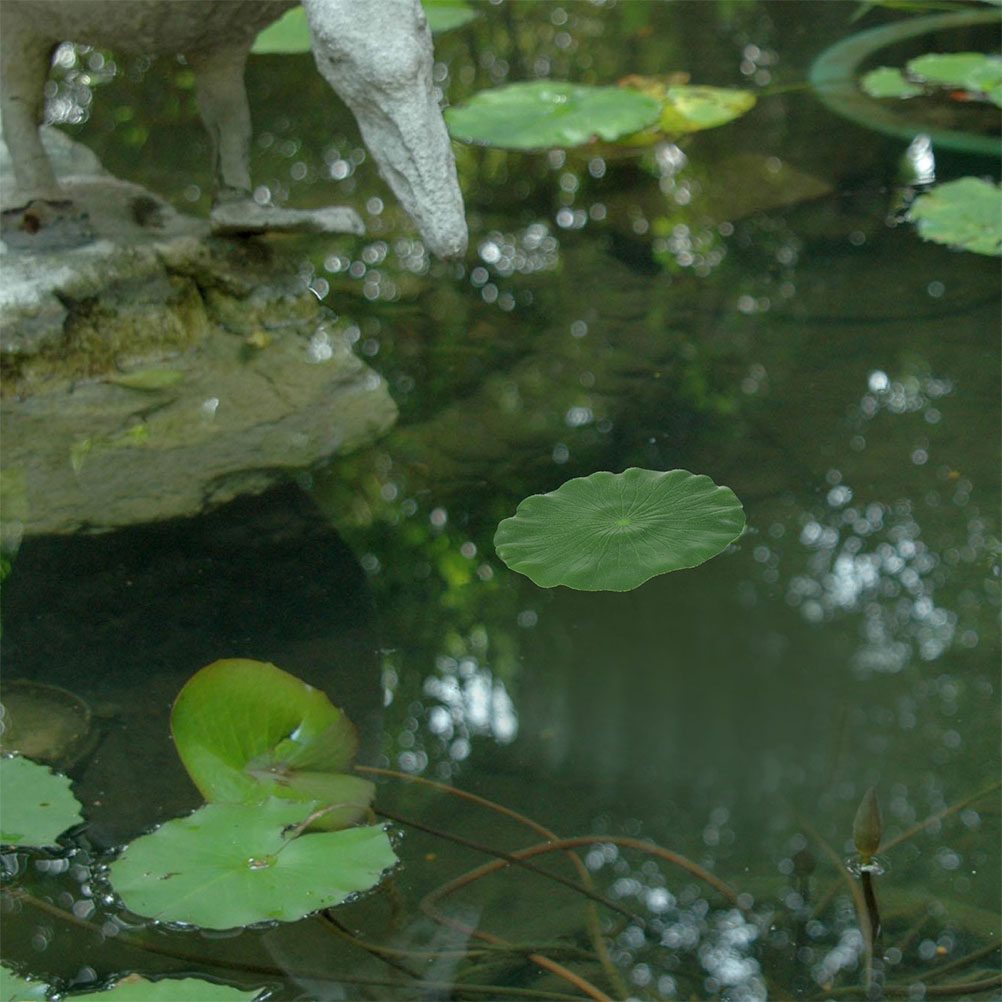 Aquarium Planted Fish - 15 Piezas de Hojas de Lirio