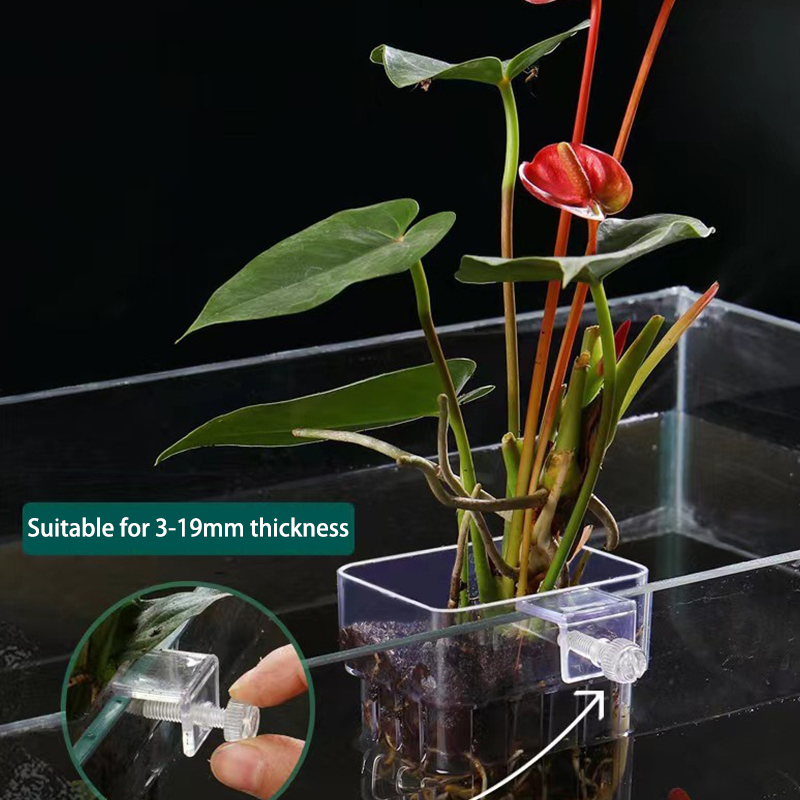 Aquarium Planted Fish - Taza de plantación de hierba de