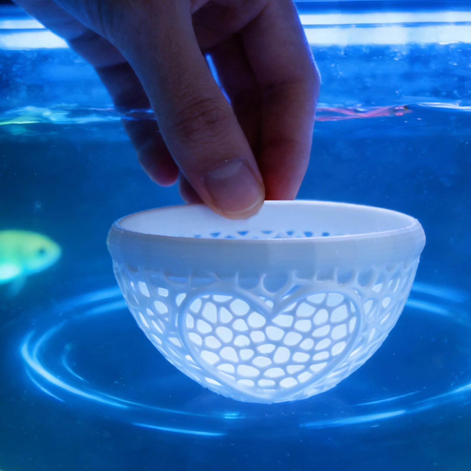 Refugio flotante para betta, h - Planted Aquarium Betta reseña y precio