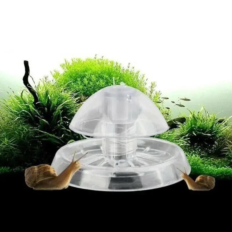 Nueva Trampa para Caracoles de - Aquarium Planted Fish reseña y precio