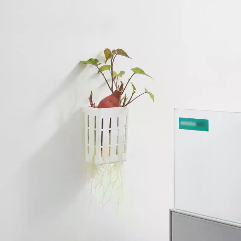 1 unidad de cesta de soporte h - Aquarium Planted Fish reseña y precio
