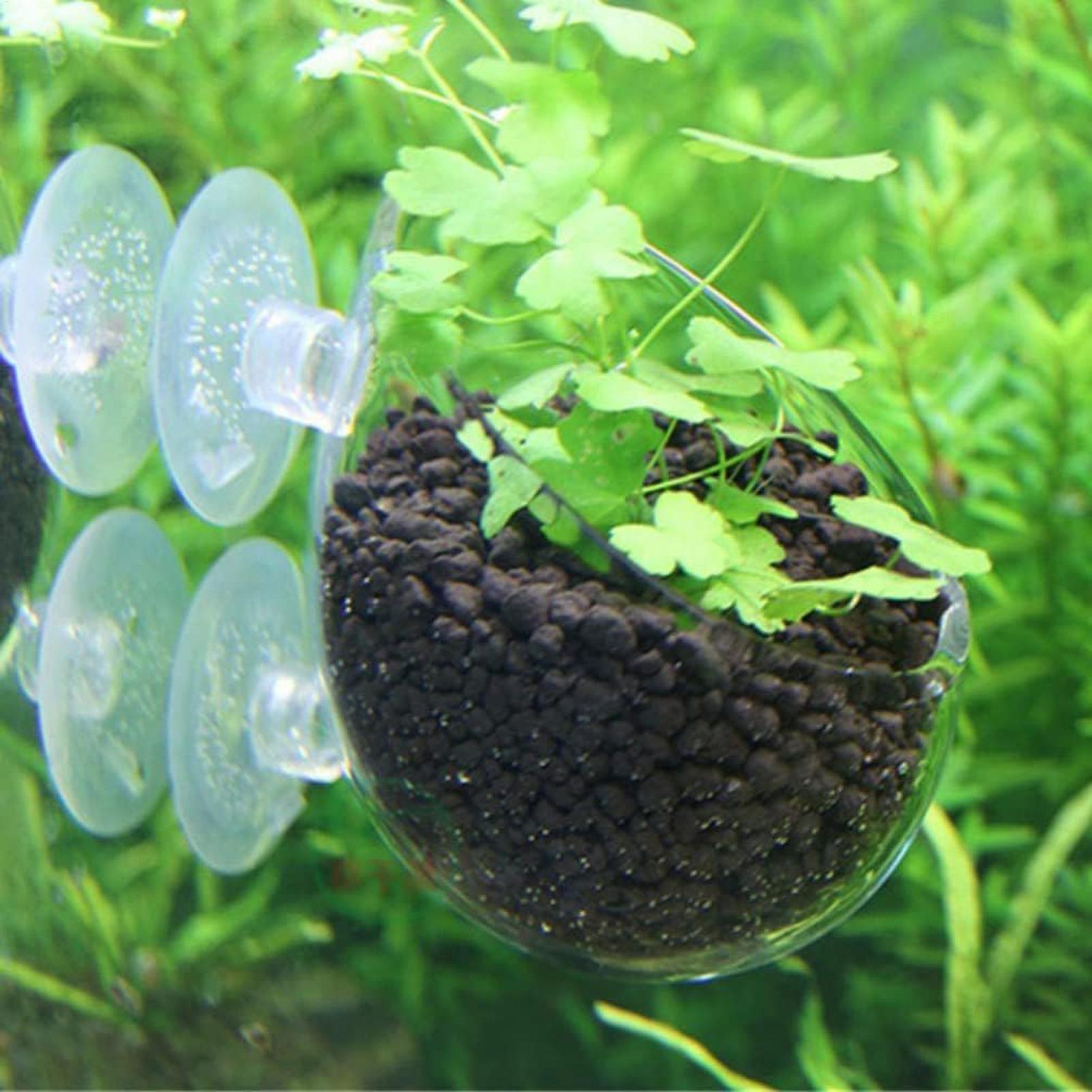Soporte para Plantas de Acuari - Aquarium Plant Dip reseña y precio