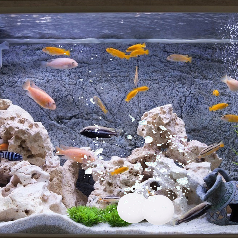 3 Bolsas de Tabletas de CO2, P - Aquarium Plant Nutrients reseña y precio