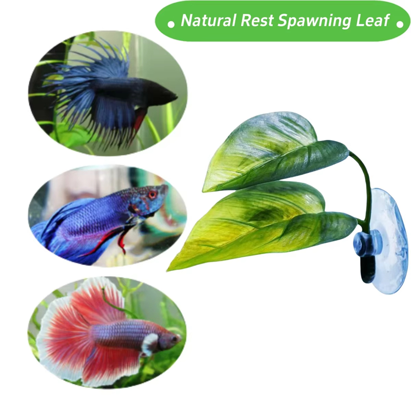 Suministros para Acuarios, Dec - Planted Aquarium Betta reseña y precio