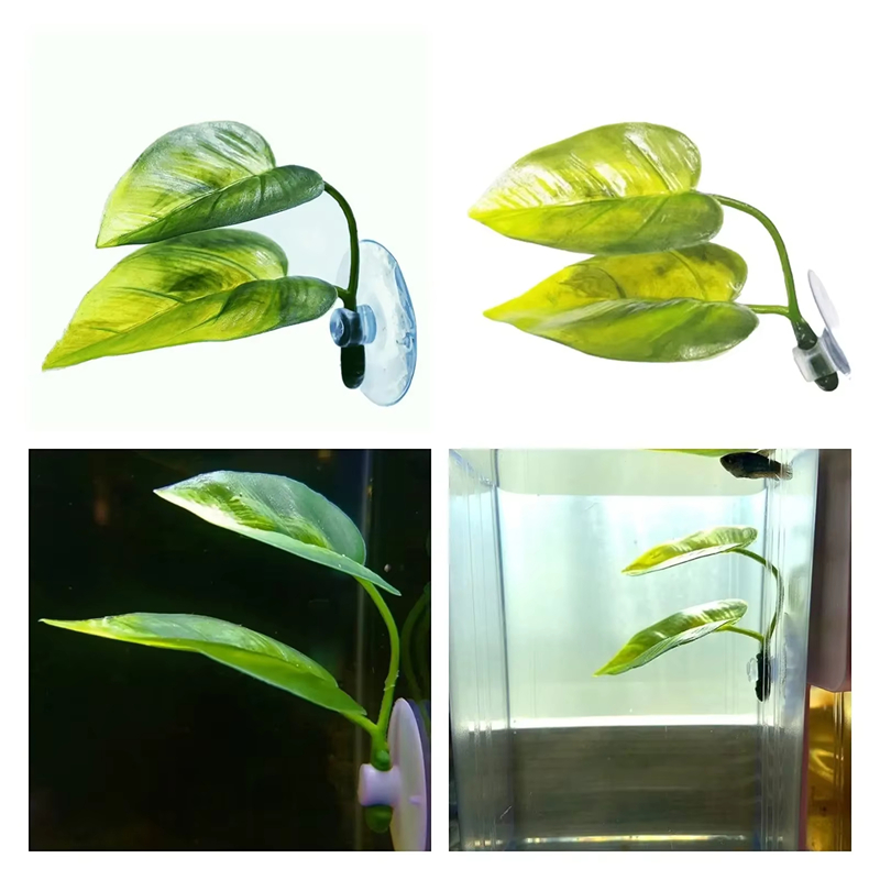 Suministros para Acuarios, Dec - Planted Aquarium Betta reseña y precio