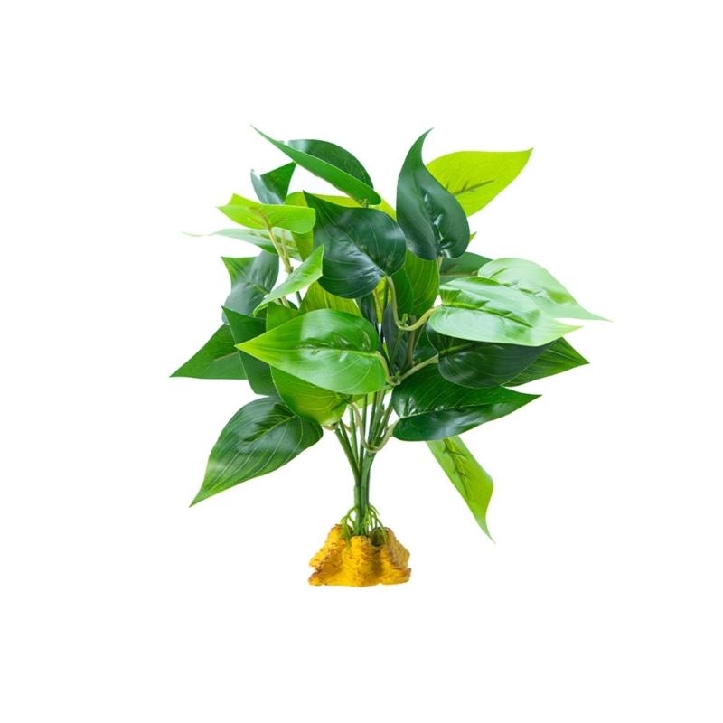 Aquarios peces planta colgante - Aquarium Planted Fish reseña y precio