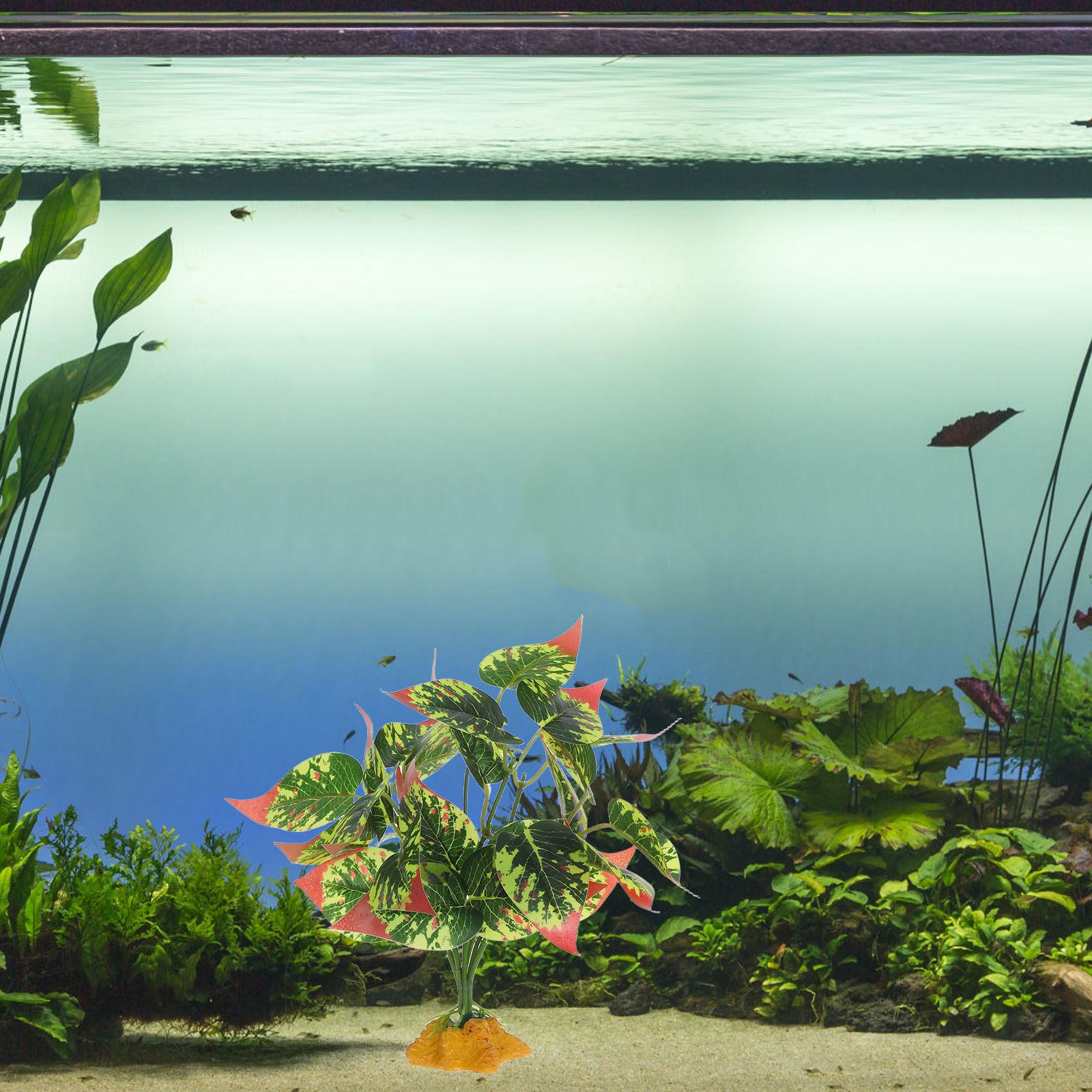 Plantas Artificiales de ABS Re - Aquarium Planted Fish reseña y precio