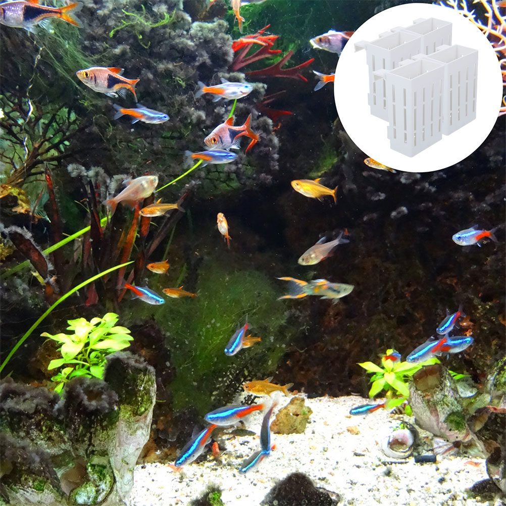 4 Piezas de Soportes de Plásti - Aquarium Plant Nutrients reseña y precio