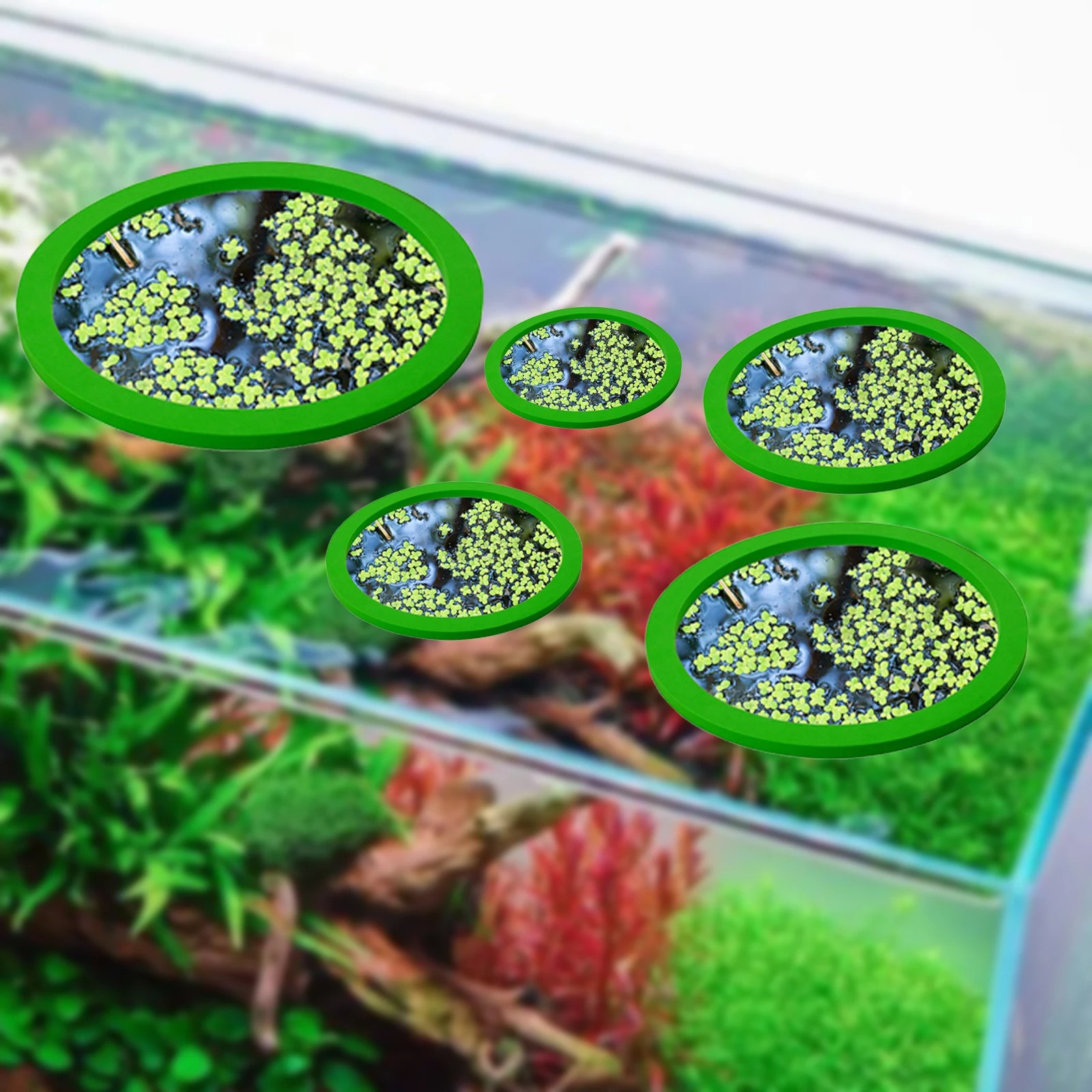5 uds EVA anillo de alimentaci - Aquarium Planted Fish reseña y precio