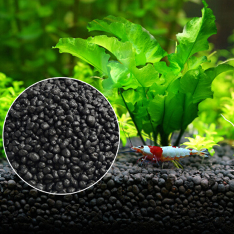 Semillas de plantas de Acuario - Aquarium Planted Fish reseña y precio