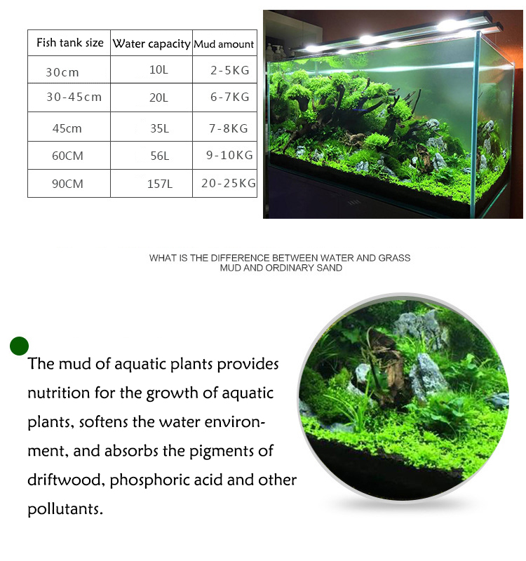 Semillas de plantas de Acuario - Aquarium Planted Fish reseña y precio