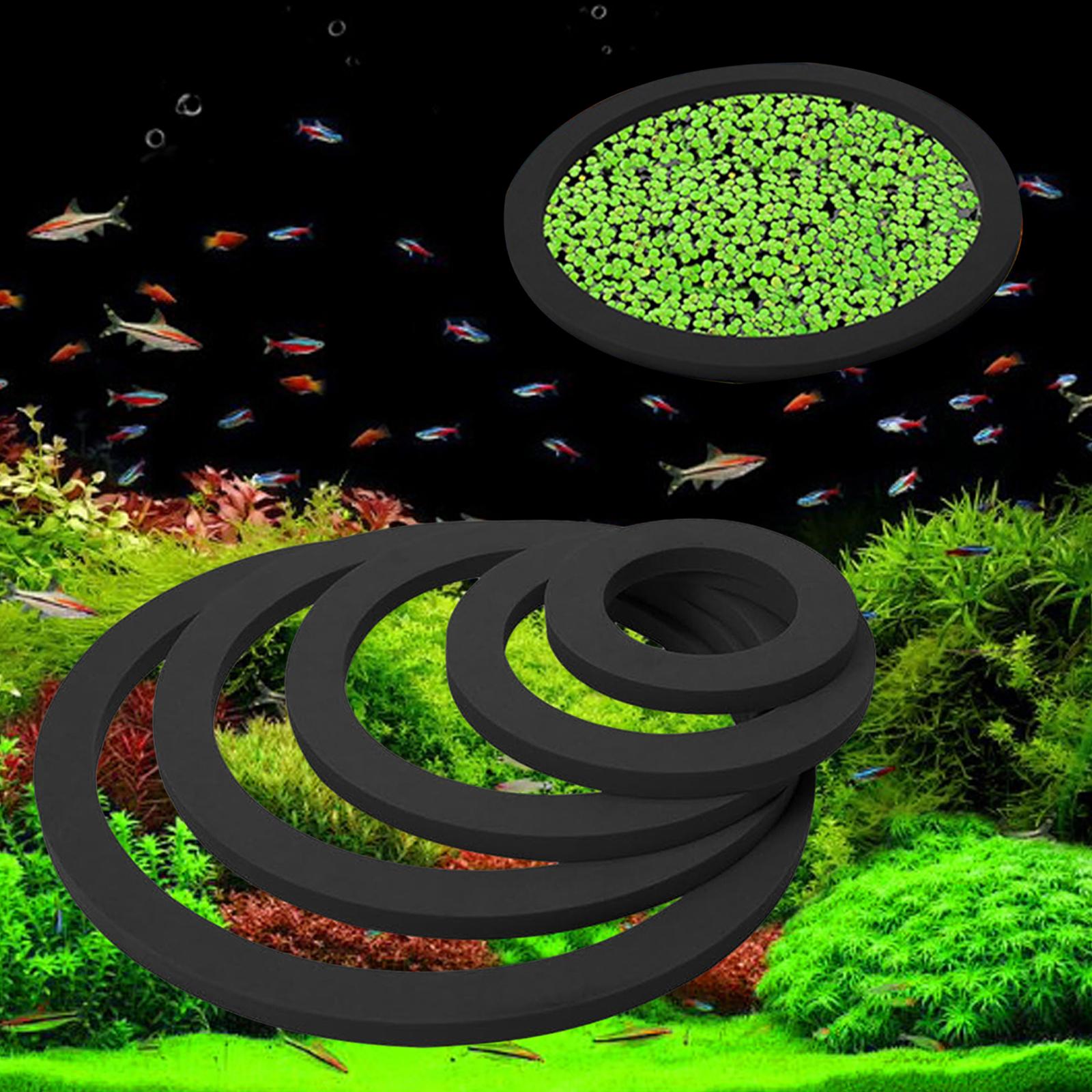 Anillo Flotante para Plantas d - Aquarium Plant Nutrients reseña y precio