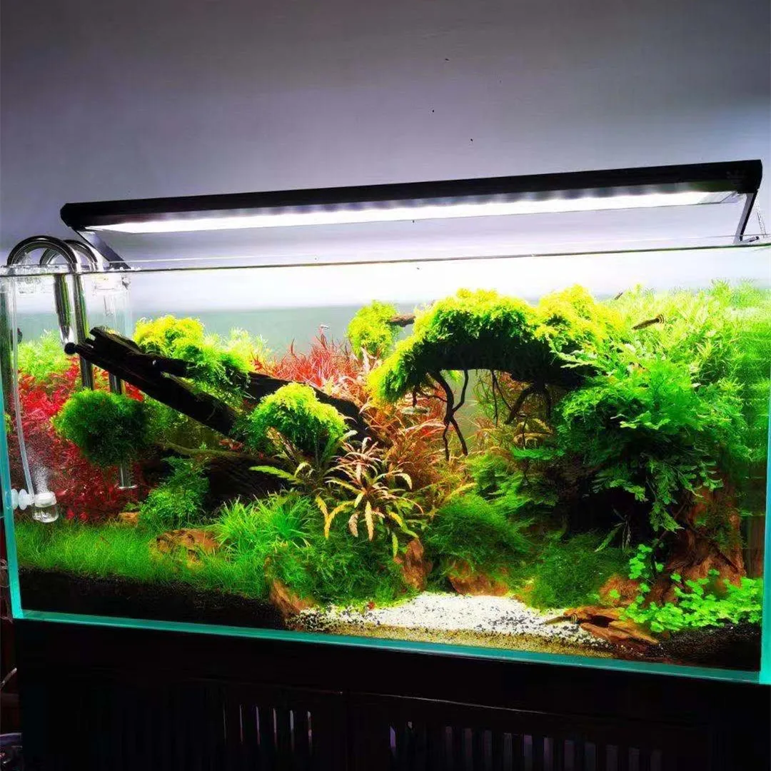 Lámpara de Cultivo para Planta - Aquarium Plant On Top reseña y precio