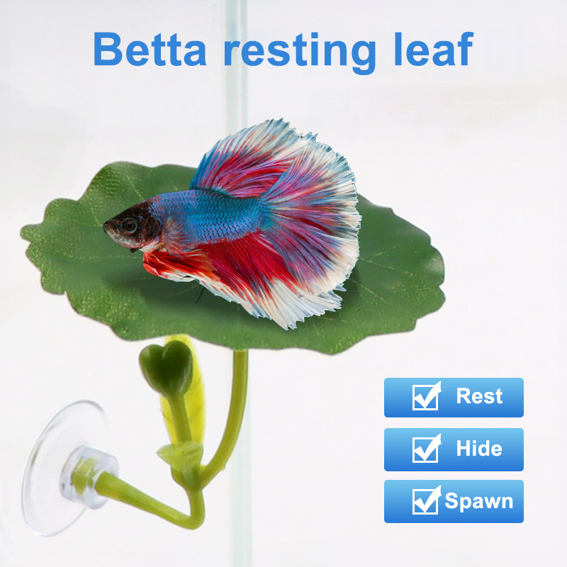 1 pieza de decoración segura p - Planted Aquarium Betta reseña y precio